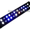 LED-kasvivalaisimet.