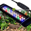 Led-valaisin terraarioon.