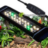 Terraarion LED valo.
